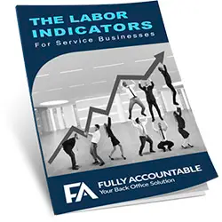 The Labor Indicators cover image