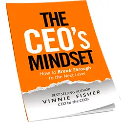 The CEO's Mindset cover image