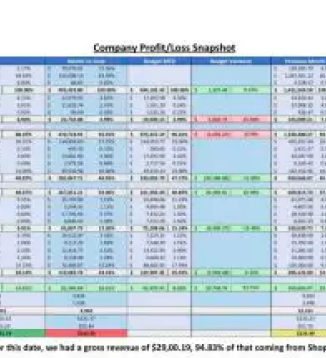 Company Profit and Loss Snapshot