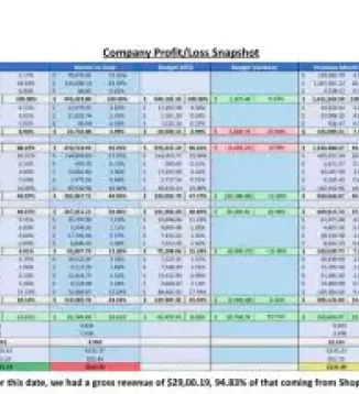 Company Profit and Loss Snapshot